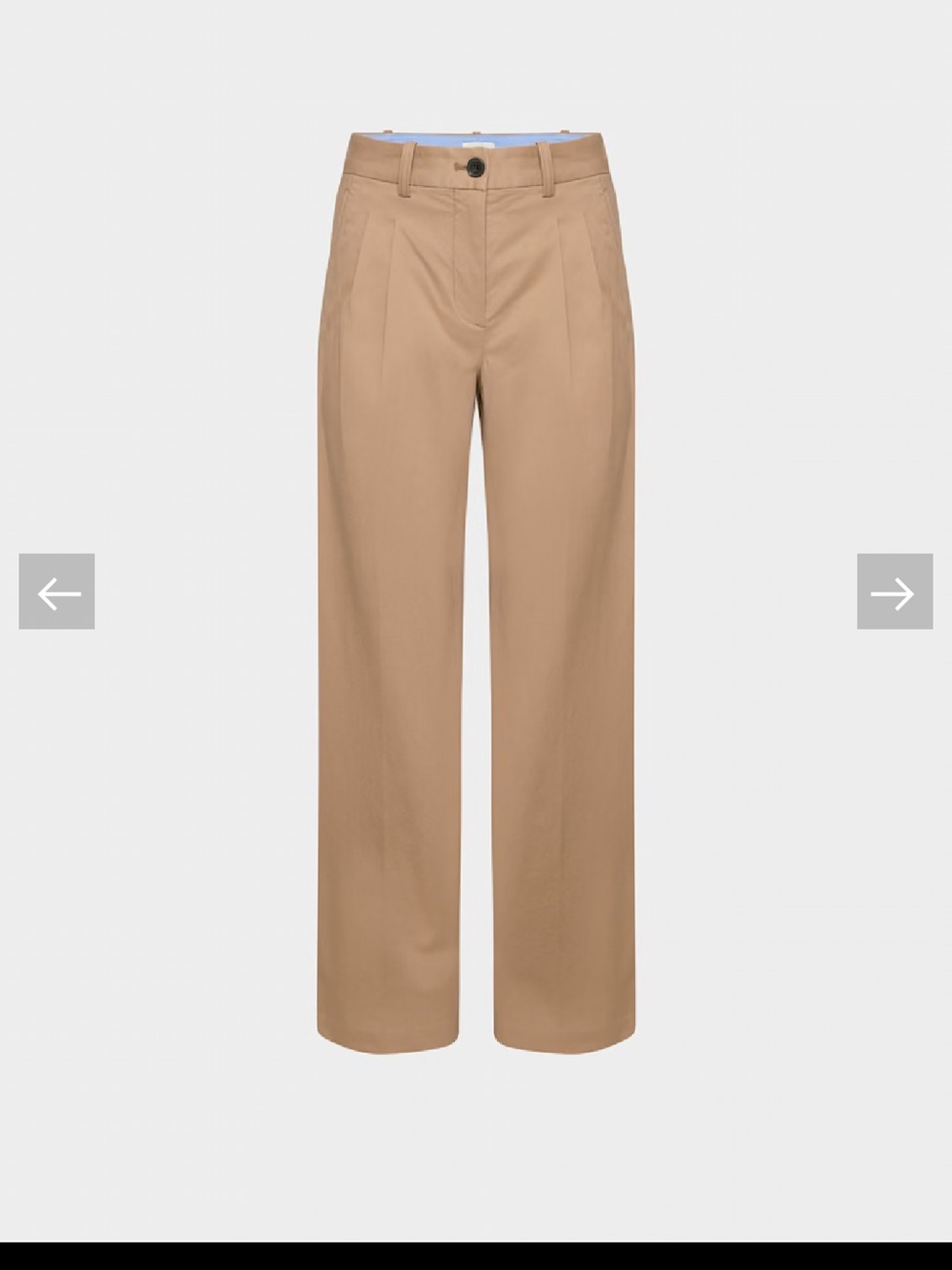 Aritzia Chino Hi-Rise Wide Pleated Pant (Camel)